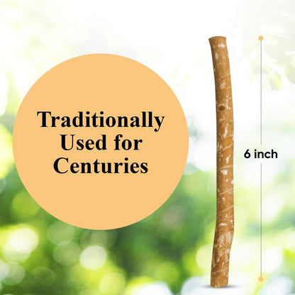 Organix™ Miswak Sticks (10 Pack)