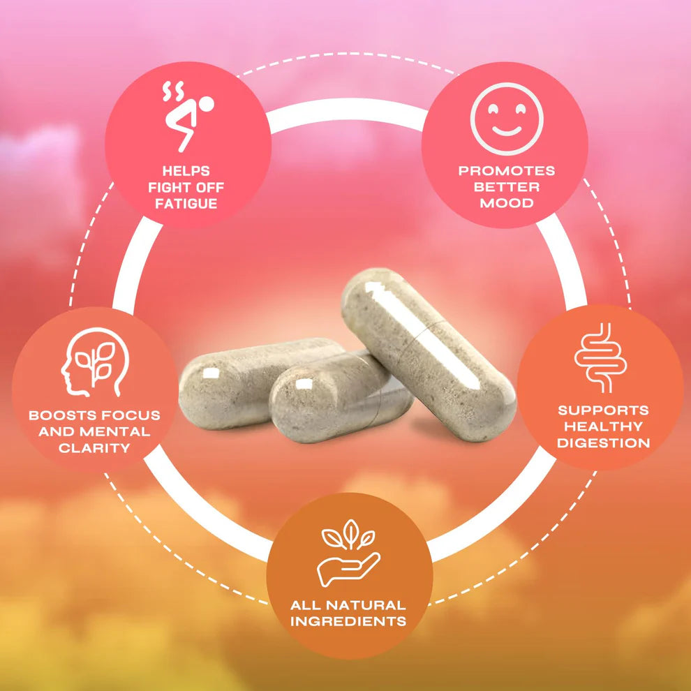 Organix™ - Yerba Mate Capsules
