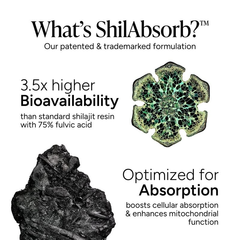 Buy 1 Get 1 Free - Organix™ - 10-in-1 Alpha Shilajit Gummies