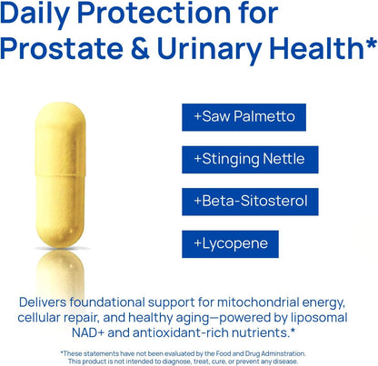 Buy 1 Get 1 Free - Organix™ - NAD+ Supplements for Men