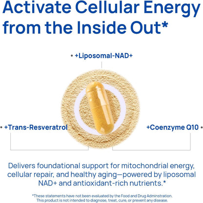 Buy 1 Get 1 Free - Organix™ - NAD+ Supplements for Men