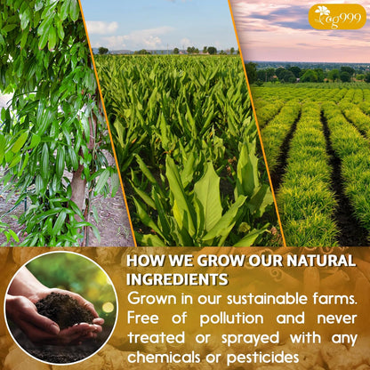 Organix™ - Turmeric Ginger Cinnamon Tea