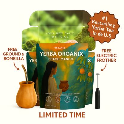 All-in-One Yerba Mate Starter Kit