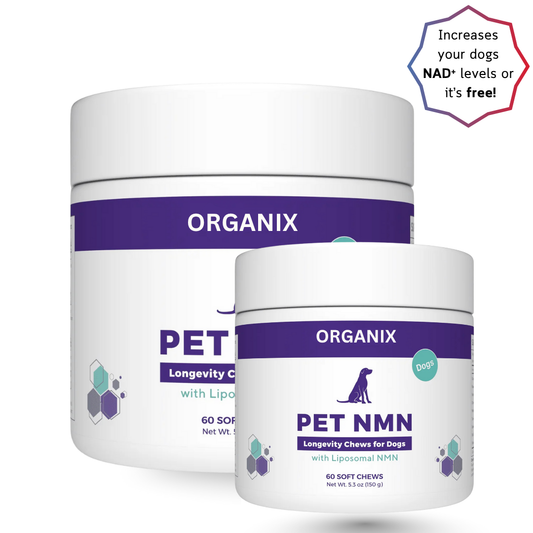 Buy 1 Get 1 Free - Organix™ - PET NMN Longevity Chews for Dogs