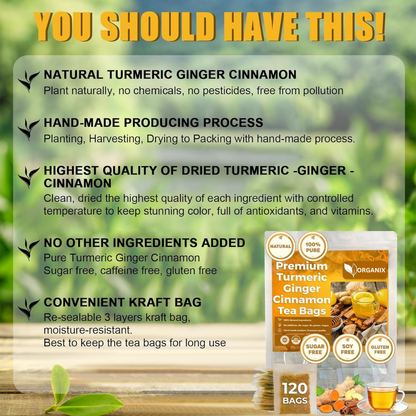 Organix™ - Turmeric Ginger Cinnamon Tea