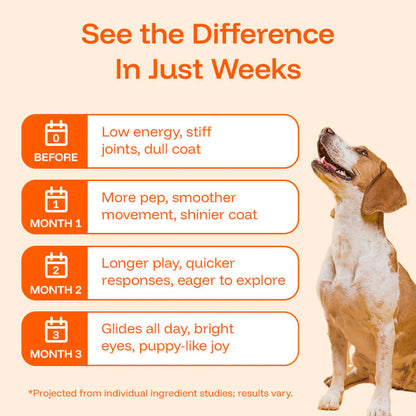 Buy 1 Get 1 Free - Organix™ - NAD+ Dog Health Booster