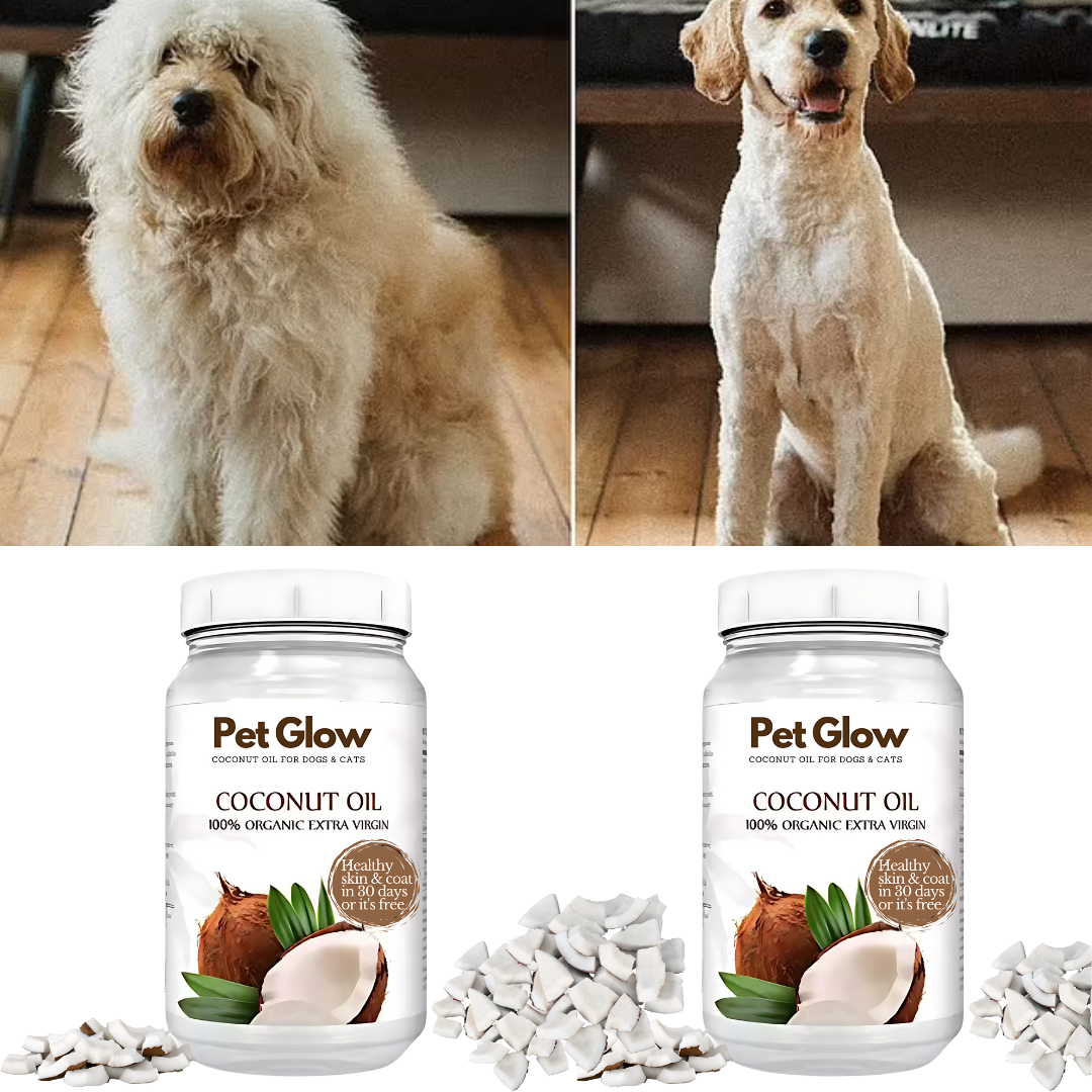 PetGlow™ - Aceite de coco virgen orgánico para perros y gatos