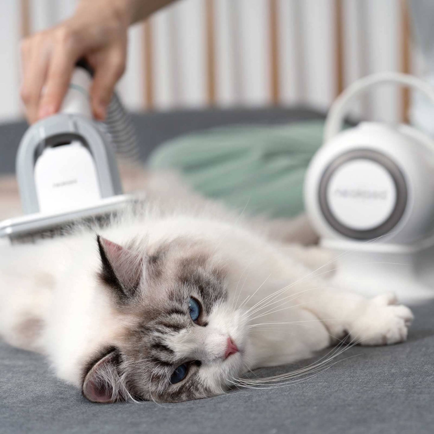 Pet Hair Grooming Vacuum™