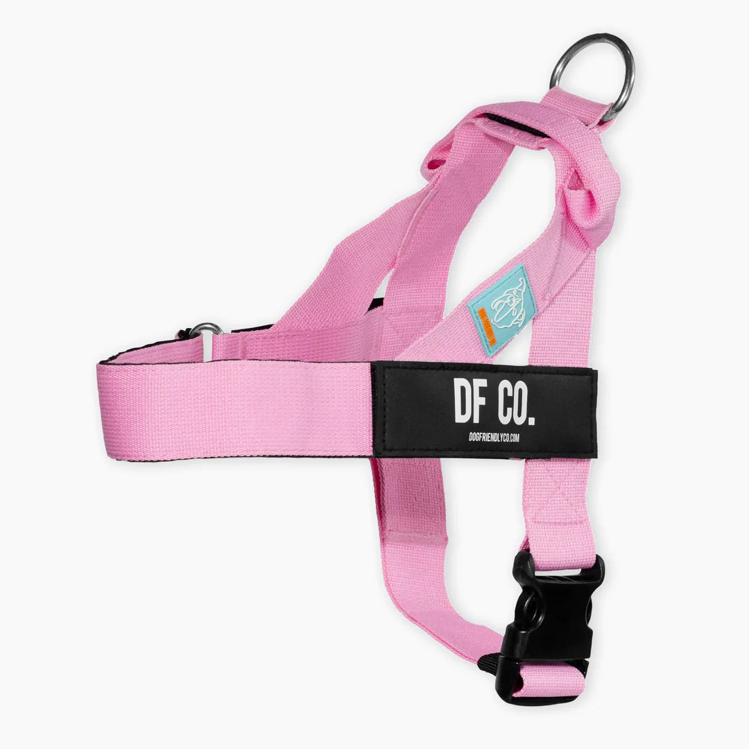 Dog Harness