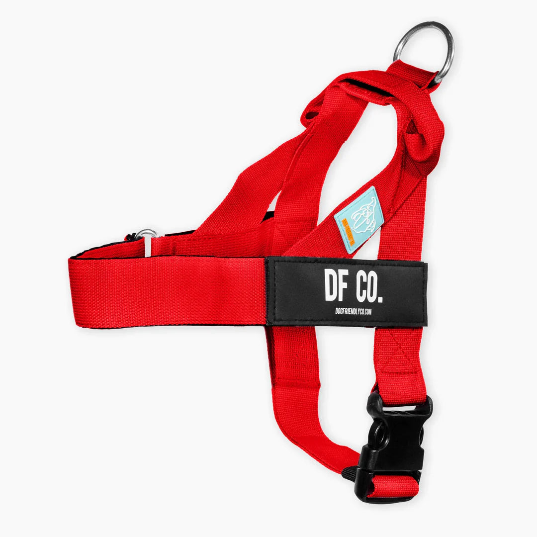 Dog Harness