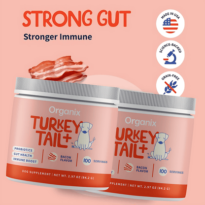 Buy 1 Get 1 Free - Organix™ - Turkey Tail Mushroom for Dogs