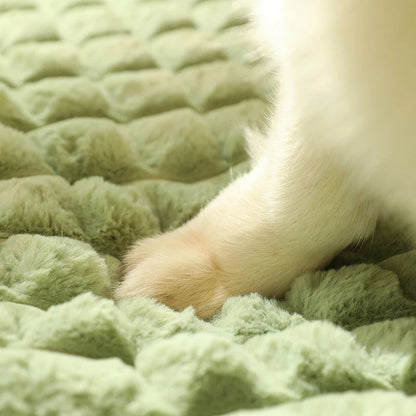 Alfombra calmante para mascotas